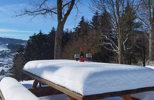 Hallenberg Apartment | Holiday Apartment 'Sauerland Alm Winterberg' with Private Pool, Private Terrace and Wi-Fi