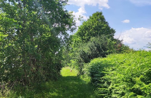 Couze-et-Saint-Front House | Holiday Home 'La Roulotte Couzote' with Private Terrace and Private Garden