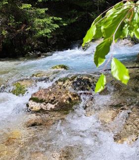 Bovec House | Holiday home by the emerald river