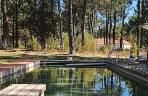 Santa Maria do Castelo House | Holiday Home 'Casa Da Relva' with Private Pool, Shared Terrace and Wi-Fi