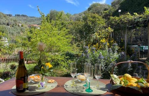 Costa dʼOneglia House | Holiday Home Casa dei Nonni - IMP425 by Interhome