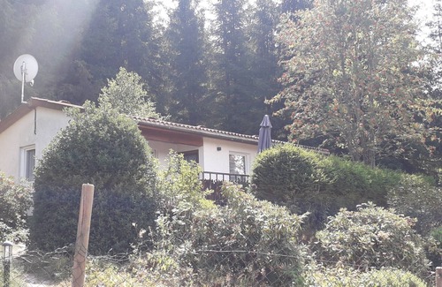 Goldisthal House | Holiday Home 'Ferienhaus Goldisthal' with Mountain View, Private Terrace