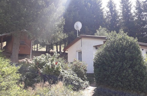 Goldisthal House | Holiday Home 'Ferienhaus Goldisthal' with Mountain View, Private Terrace