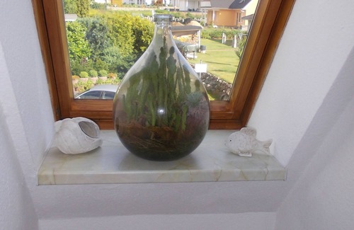 Marlow House | Holiday home for 4 guests with 60m² in Marlow (117269)