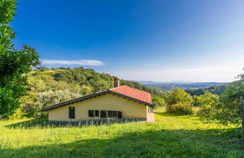 Scansano House | Holiday Home Grilli by Interhome