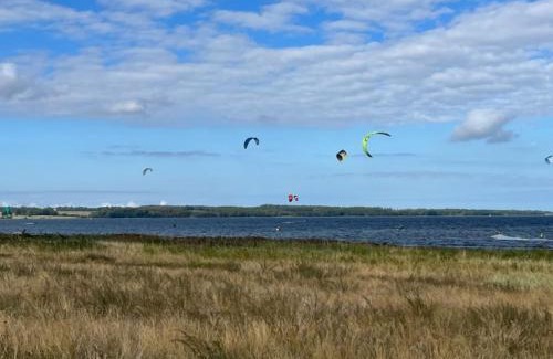 Bog By House | Holiday Home Ilene - 1km from the sea by Interhome