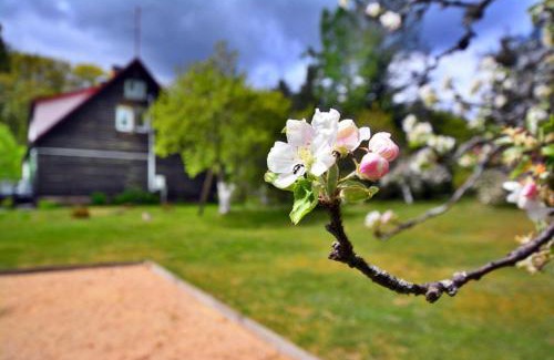 gmina Polanow Villa | Holiday Home in Forest near azy Beach