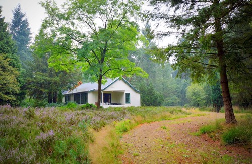 Maarheeze House | Holiday Home in Maarheeze near Forest