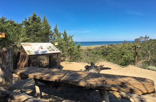 Donoratico House | Holiday Home in Sassetta with Pool and Garden