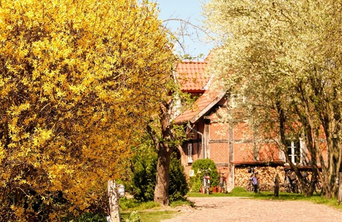 Hoyerhagen House | * Holiday home in the idyllic Hoyerhagen farm garden