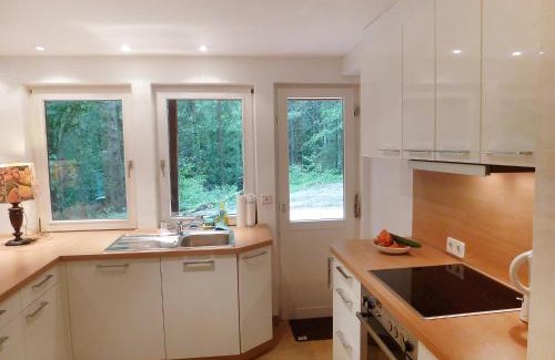 Wolfach House | Holiday Home Leubach by Interhome