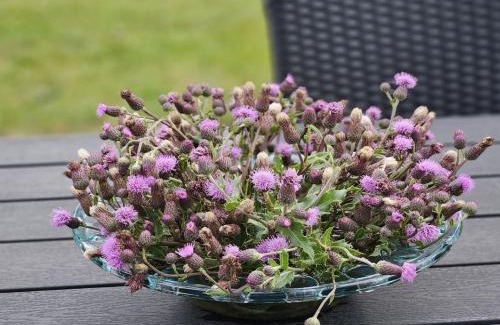 Ringkøbing-Skjern Municipality House | Holiday Home Matthis - 500m to the inlet by Interhome