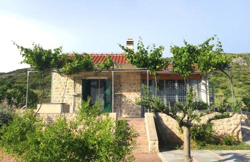 Donje Polje House | Holiday home Olive