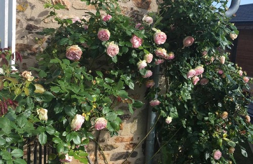 Beynat House | Holiday house Beynat for 1 - 6 persons with 3 bedrooms - Holiday house