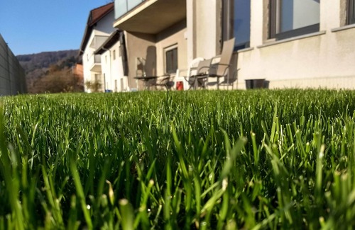 Bollendorf-Pont House | Holiday house for up to 10 people in the climatic health resort of Bollendorf