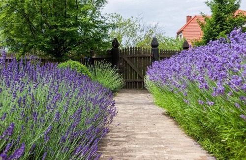 Gaski House | Holiday house Gaski for 1 - 6 persons with 2 bedrooms - Holiday home