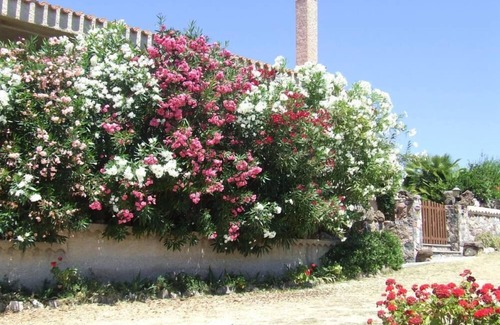Santa Caterina House | HOLIDAY HOUSE WITH HUGE GARDEN AND SUPERB VIEW OF THE SEA AND THE MOUNTAINS