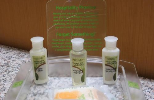 Allenton Hotel | Holiday Inn At Six Flags Saint Louis by IHG