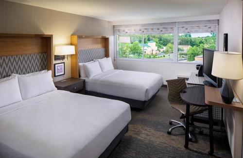 Charlottesville Hotel | Holiday Inn Express & Suites Charlottesville by IHG
