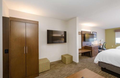 Carlsbad Hotel | Holiday Inn Express Hotel & Suites Carlsbad by IHG