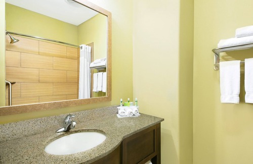 Monahans Hotel | Holiday Inn Express Hotel & Suites Monahans - I-20 by IHG