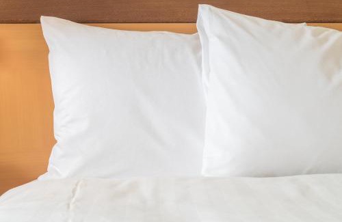Meridian Hotel | Holiday Inn Express & Suites Meridian I-20 by IHG