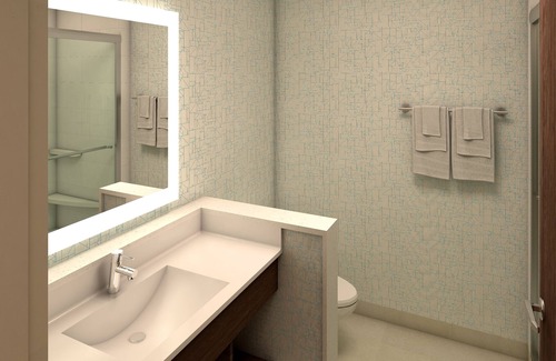 Braeswood Place Hotel | Holiday Inn Express & Suites Houston S - Medical Ctr Area by IHG