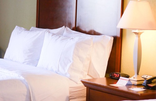 Center Hotel | Holiday Inn Express & Suites Center by IHG
