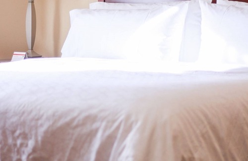 Center Hotel | Holiday Inn Express & Suites Center by IHG