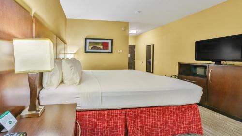 Houston Hotel | Holiday Inn Express & Suites Houston South - Near Pearland by IHG