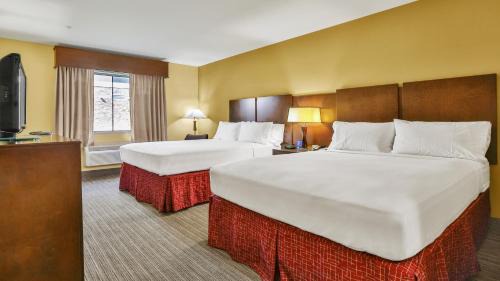 Houston Hotel | Holiday Inn Express & Suites Houston South - Near Pearland by IHG