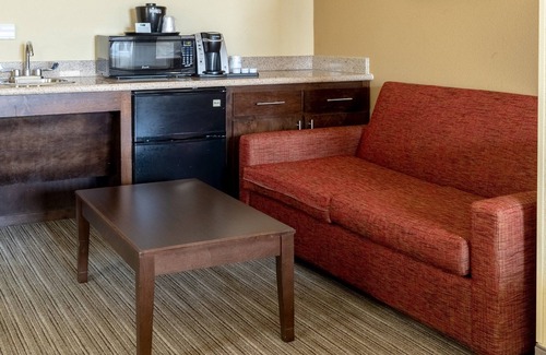 Houston Hotel | Holiday Inn Express & Suites Houston South near Pearland by IHG