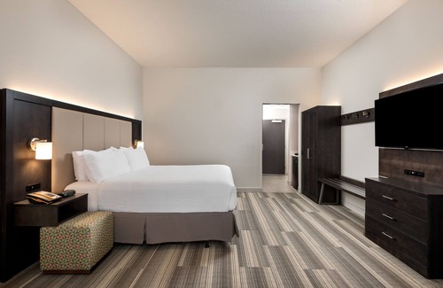 Lakeland Hotel | Holiday Inn Express & Suites Lakeland South by IHG