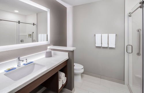 Odessa Hotel | Holiday Inn Express & Suites Odessa I-20 by IHG