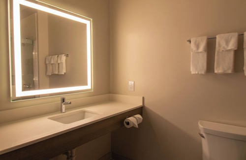 Sulphur Springs Hotel | Holiday Inn Express and Suites Sulphur Springs by IHG