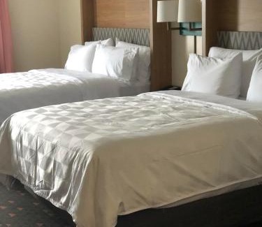Mount Pleasant Hotel | Holiday Inn Hotel & Suites - Mount Pleasant by IHG