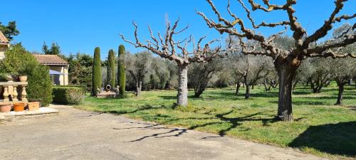Saint-Etienne-du-Gres House | Home Charmant des Alpilles