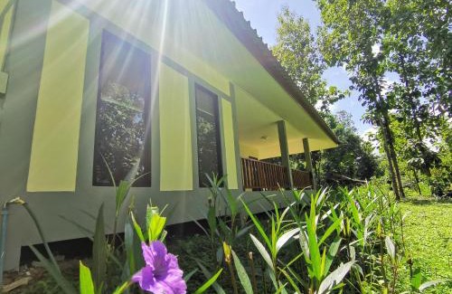 Mueang Pan House | Home Garden Chaeson บ้านสวน ชวนฝัน