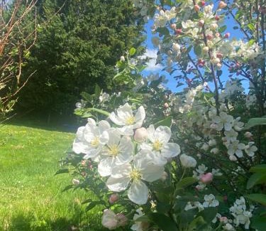 Champagnac-la-Riviere House | Home in Champagnac La Riviere with shared pool