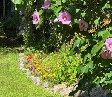 Monson House | Home in the woods - Big, Acreage, Nature Oasis, King Bed, Giant Windows