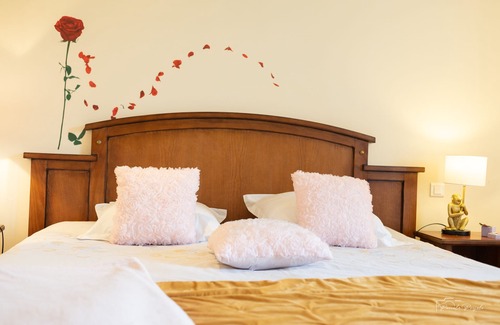 Vic-sur-Cere House | HOME LE SOFT PRIVATIZATION BED AND BREAKFAST IN TOWN CENTER
