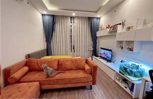 Ho Chi Minh City House | HomeDorm Q7