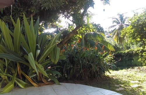 La Colline Apartment | Homerez - Charming Studio Sea View Schoelcher 20m²