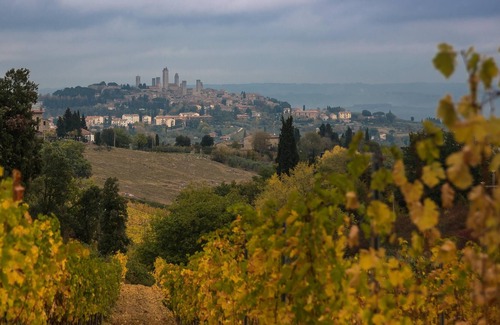 Roccatederighi Apartment | Homerez - Nice appartement for 3 ppl. at Roccastrada