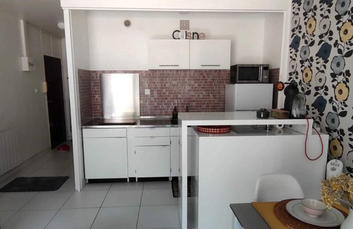 Saint-Cyprien Plage Apartment | Homerez - Studio Saint-Cyprien, garden view