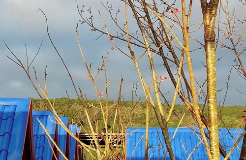 Kon Plong House | Homestay Wooden House Măng Đen