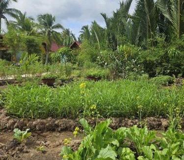 Mo Cay Nam Cabin | Homestay Xóm Quê