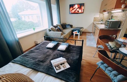 Avoti Apartment | Homey Nest in Riga Midtown center, up to 4 guests, Steps from the Park, FREE parking