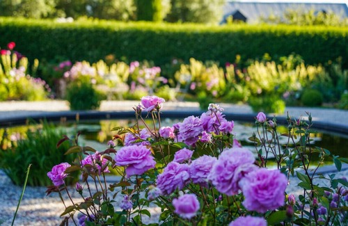 Kyneton House | Honeysuckle Barn and Garden in Kyneton