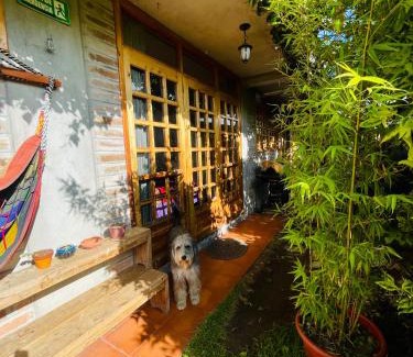 Cotacachi Hostel | Hoppy Alpaca